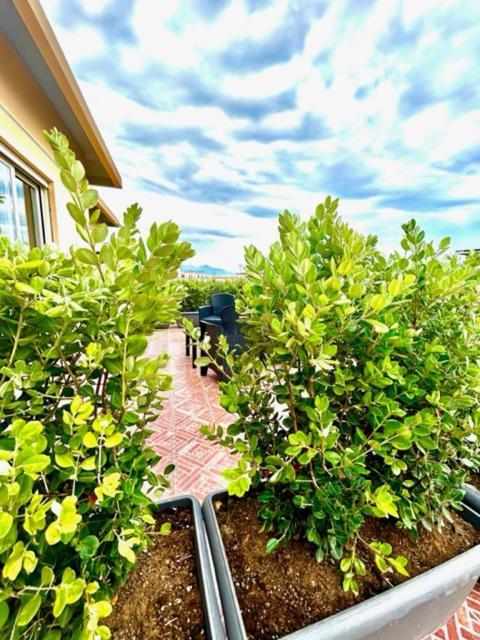 Aqua B&B - Rooms And Apartments Milazzo Ngoại thất bức ảnh